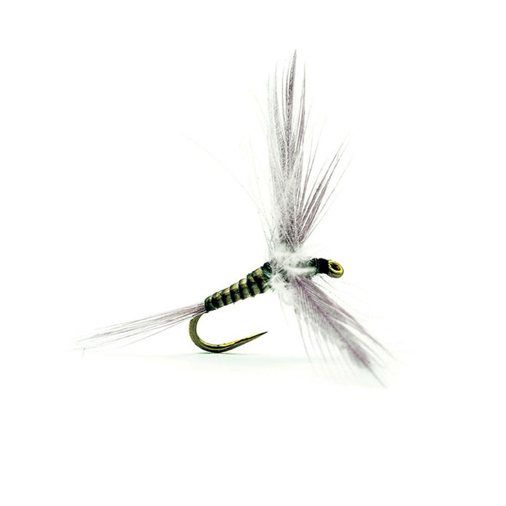 DEVAUX Spent 247C Fly