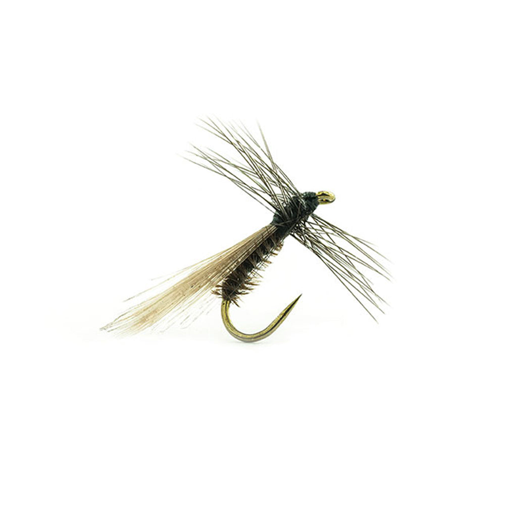 DEVAUX Fly Terrestrial 428