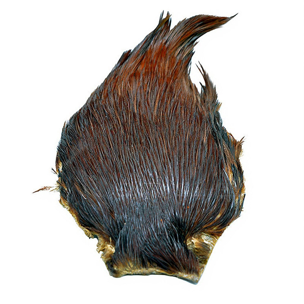 DEVAUX Top Grade Rooster Necks