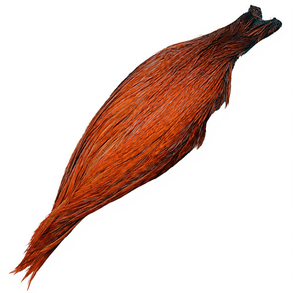 DEVAUX G3 Rooster Necks