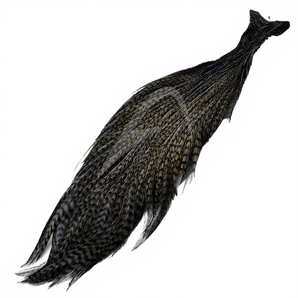 DEVAUX G3 Rooster Necks