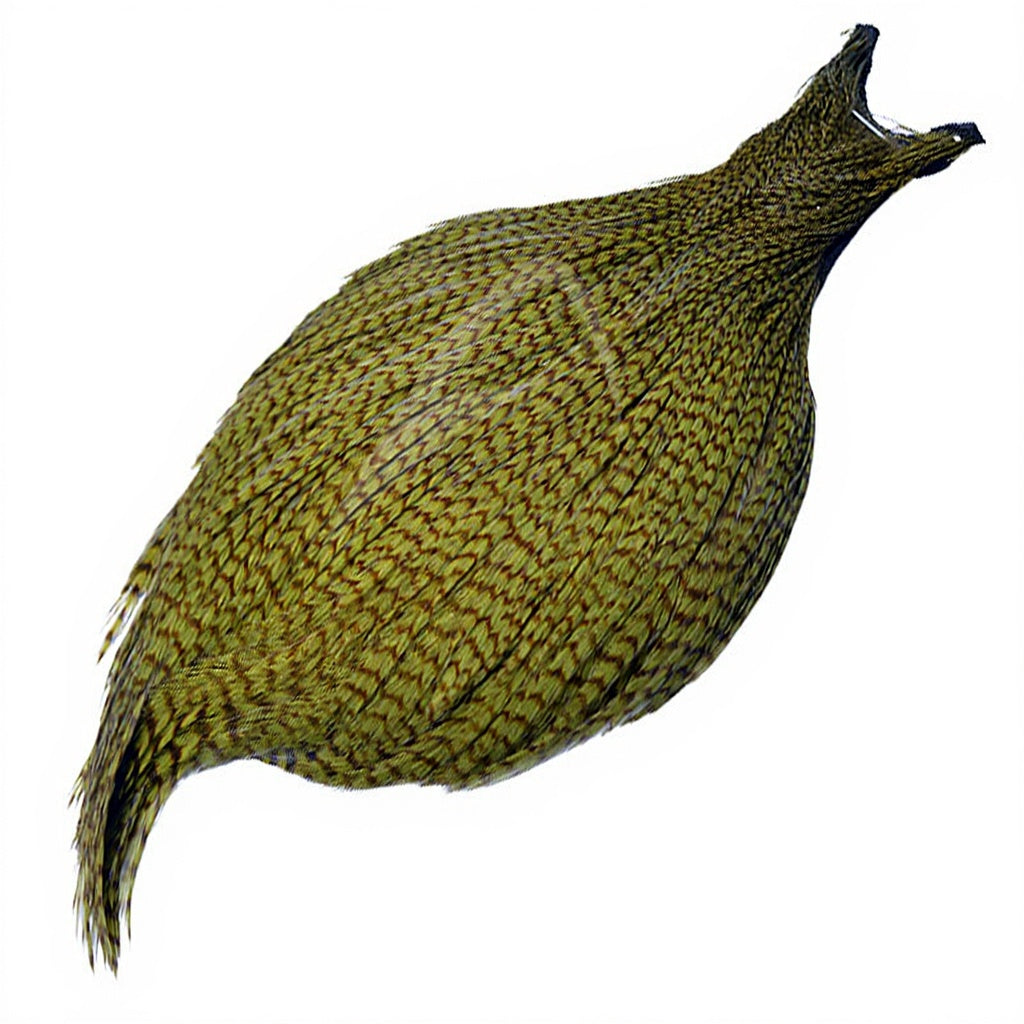 DEVAUX G3 Rooster Necks