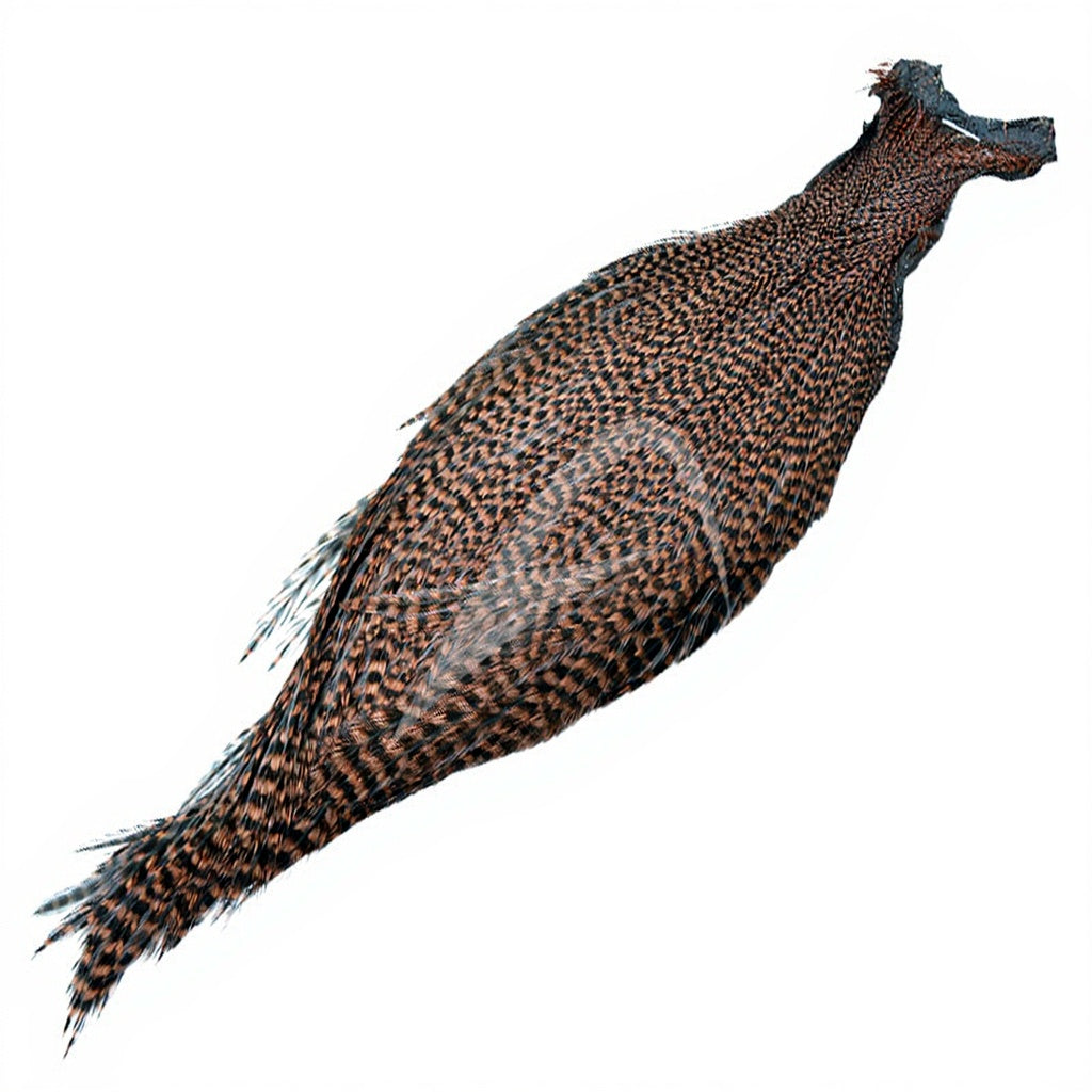 DEVAUX G3 Rooster Necks