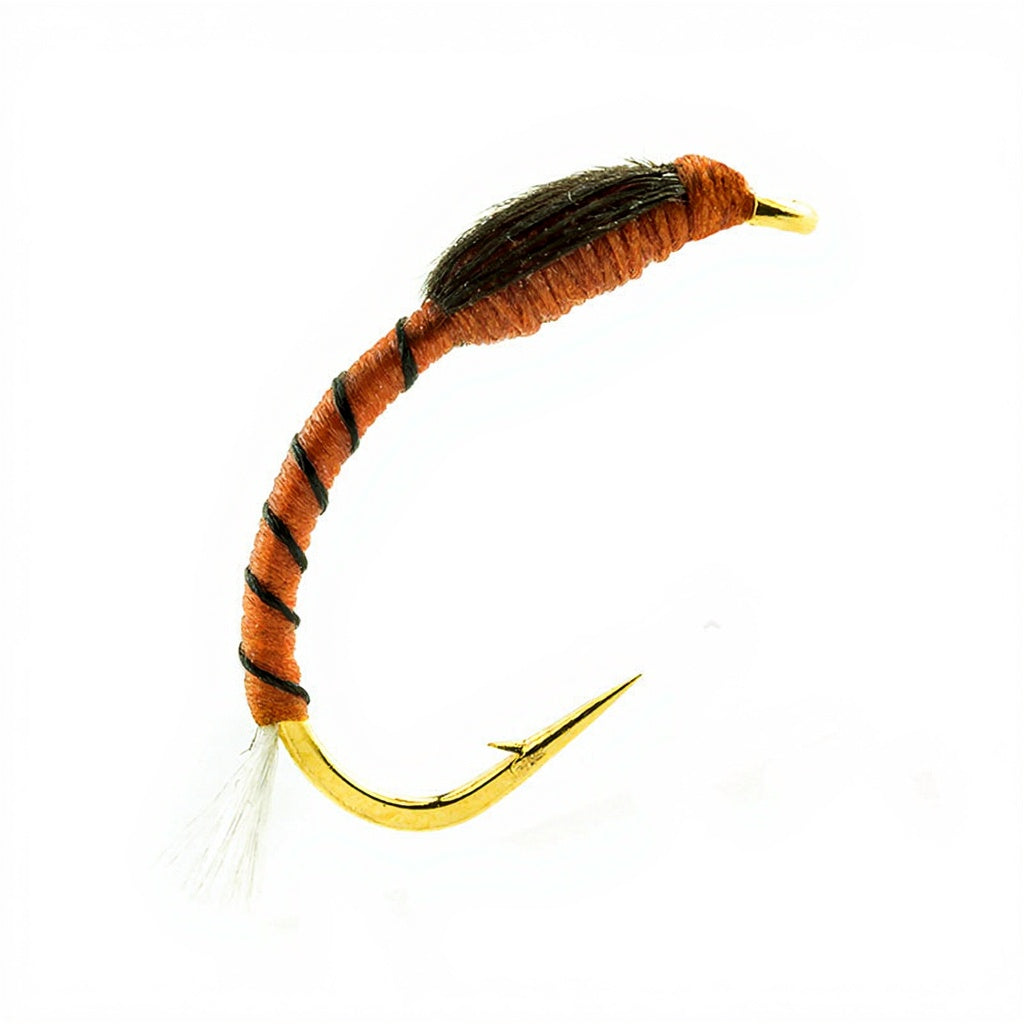 DEVAUX fly, chironomid NCH 08