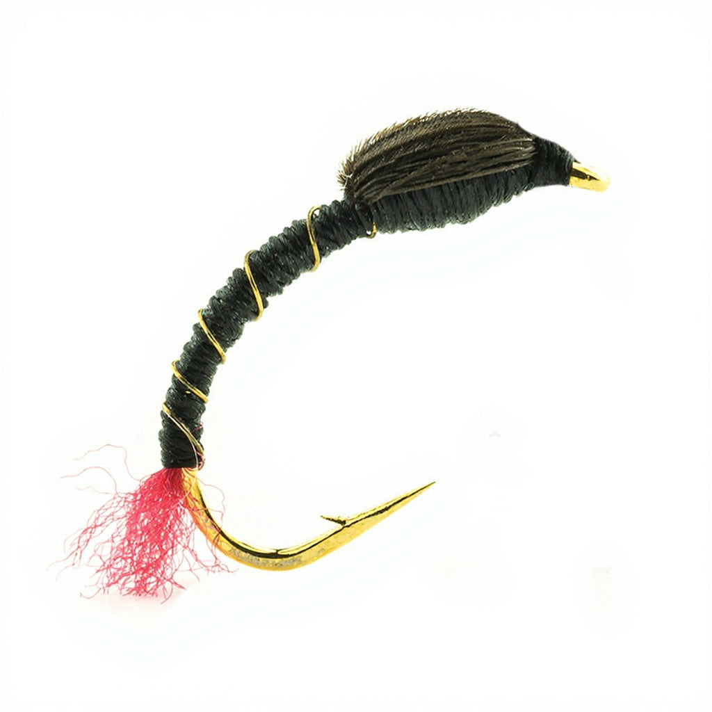DEVAUX fly, chironomid NCH 10