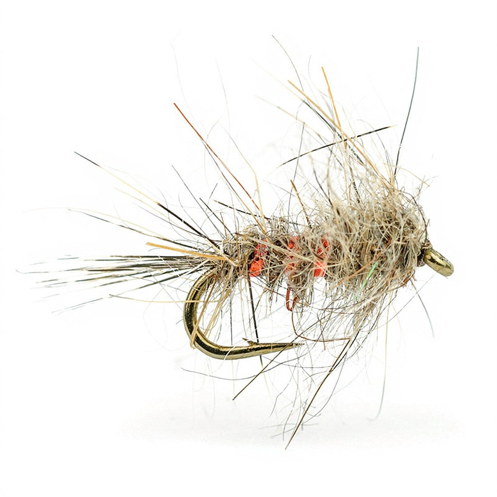 DEVAUX Fly Emerging JBEOL 01