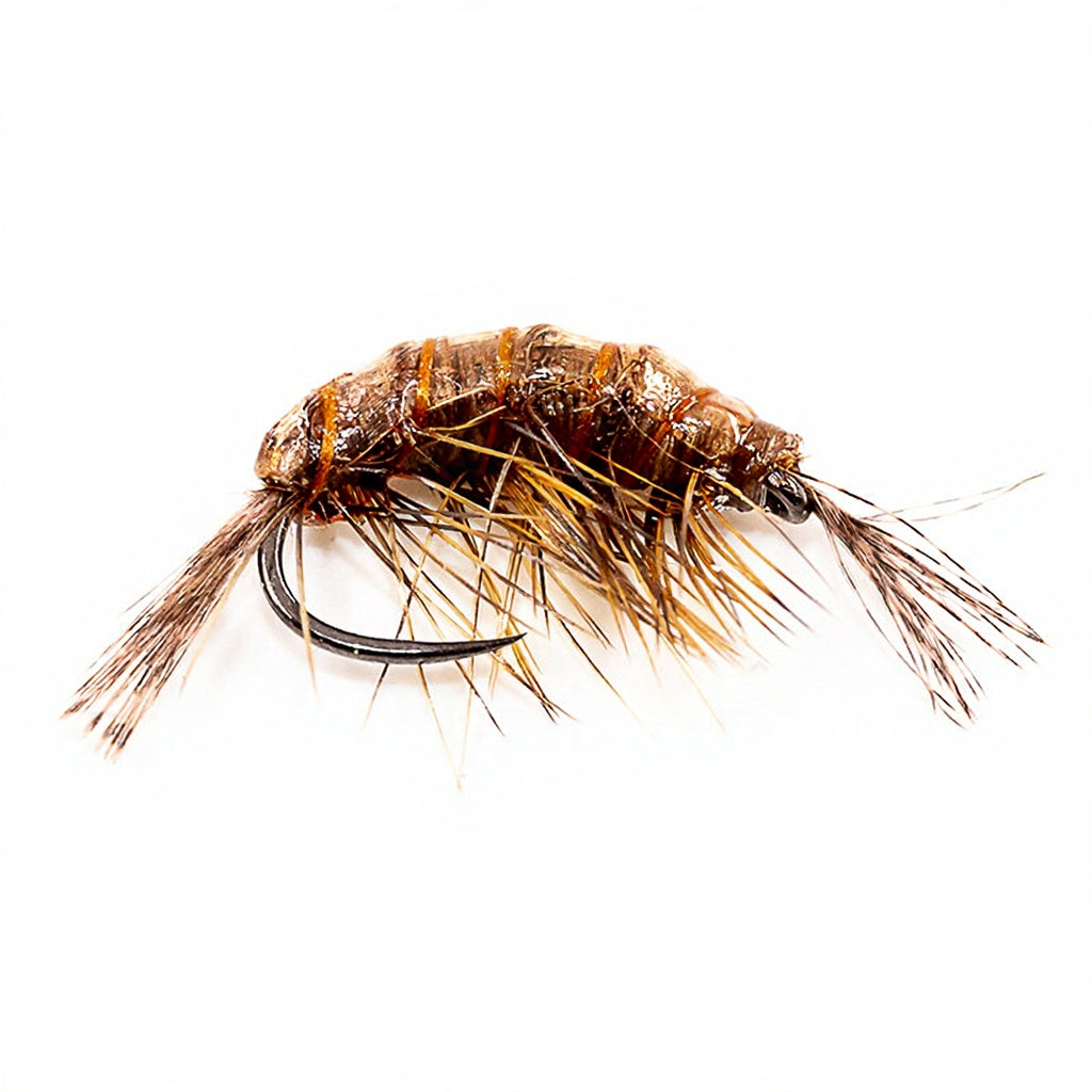 DEVAUX fly Gammarus JBGL 11