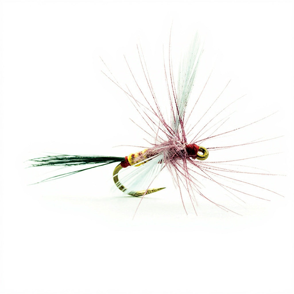 DEVAUX Spent 241C Fly