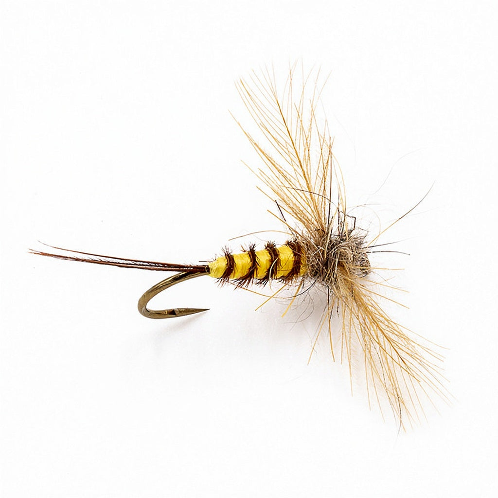 DEVAUX Fly Spent JBS MAY01