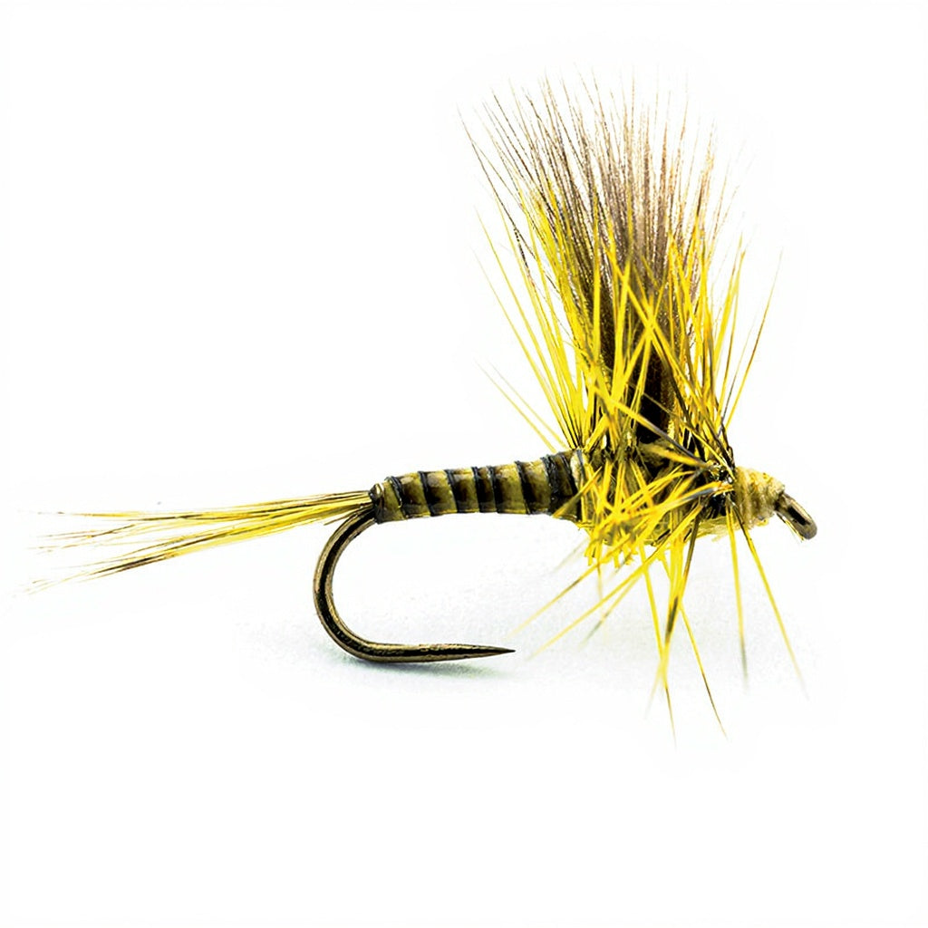 DEVAUX Spent PK02 Fly