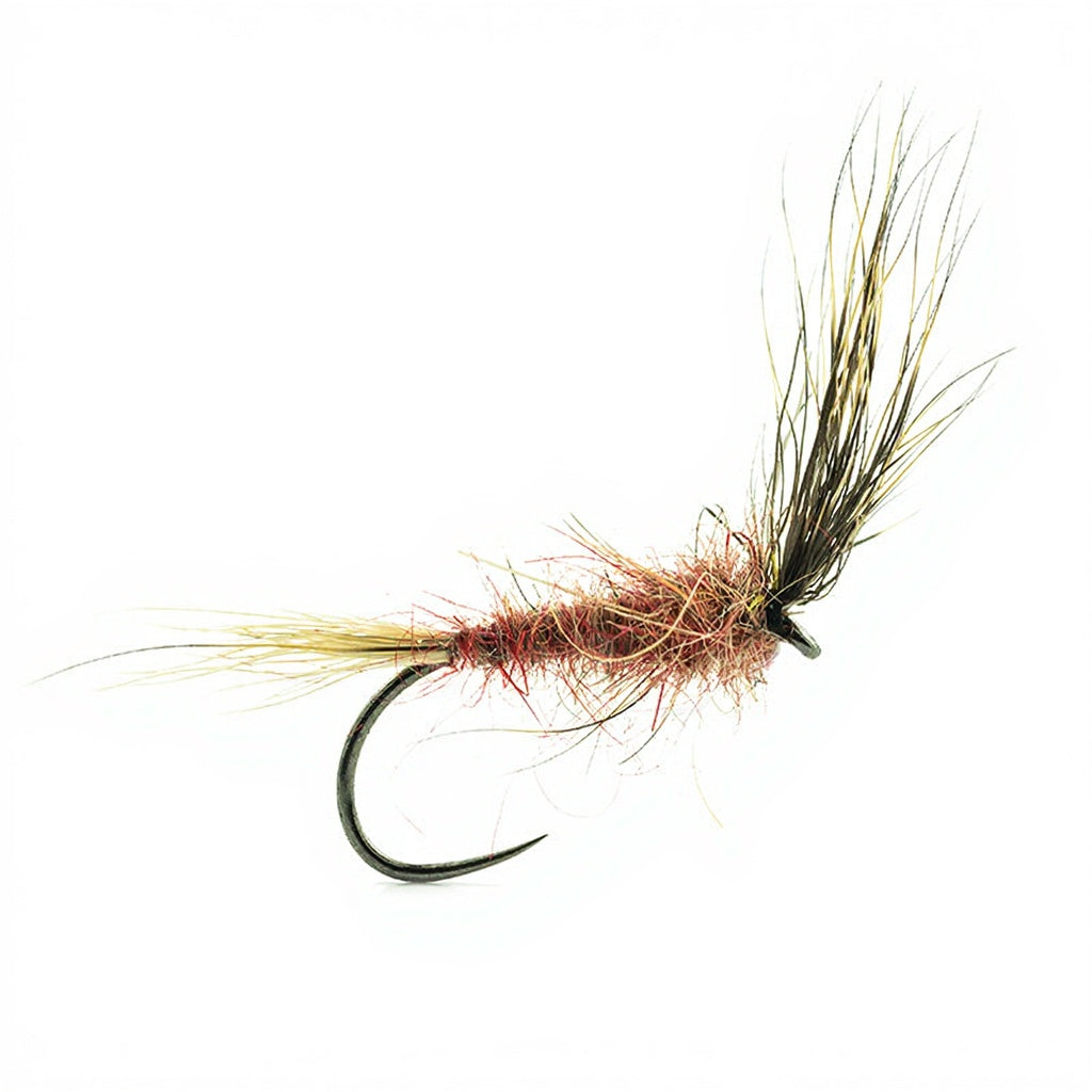 DEVAUX Fly Emerging HL 01