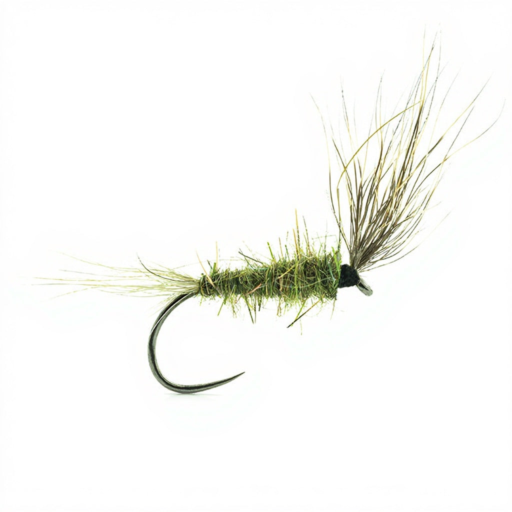 DEVAUX Fly Emerging HL 03