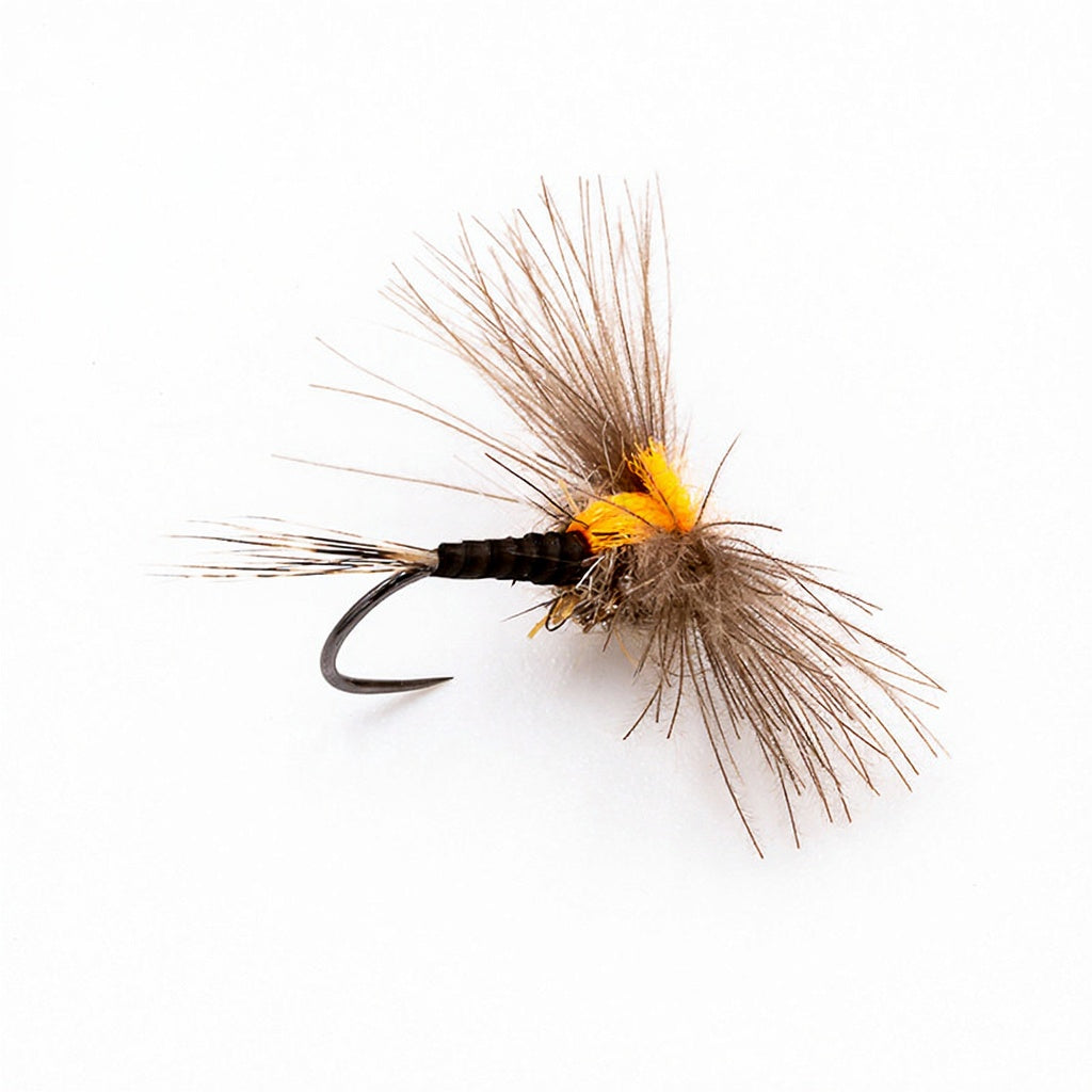 DEVAUX Fly Emerging JBE 05 N