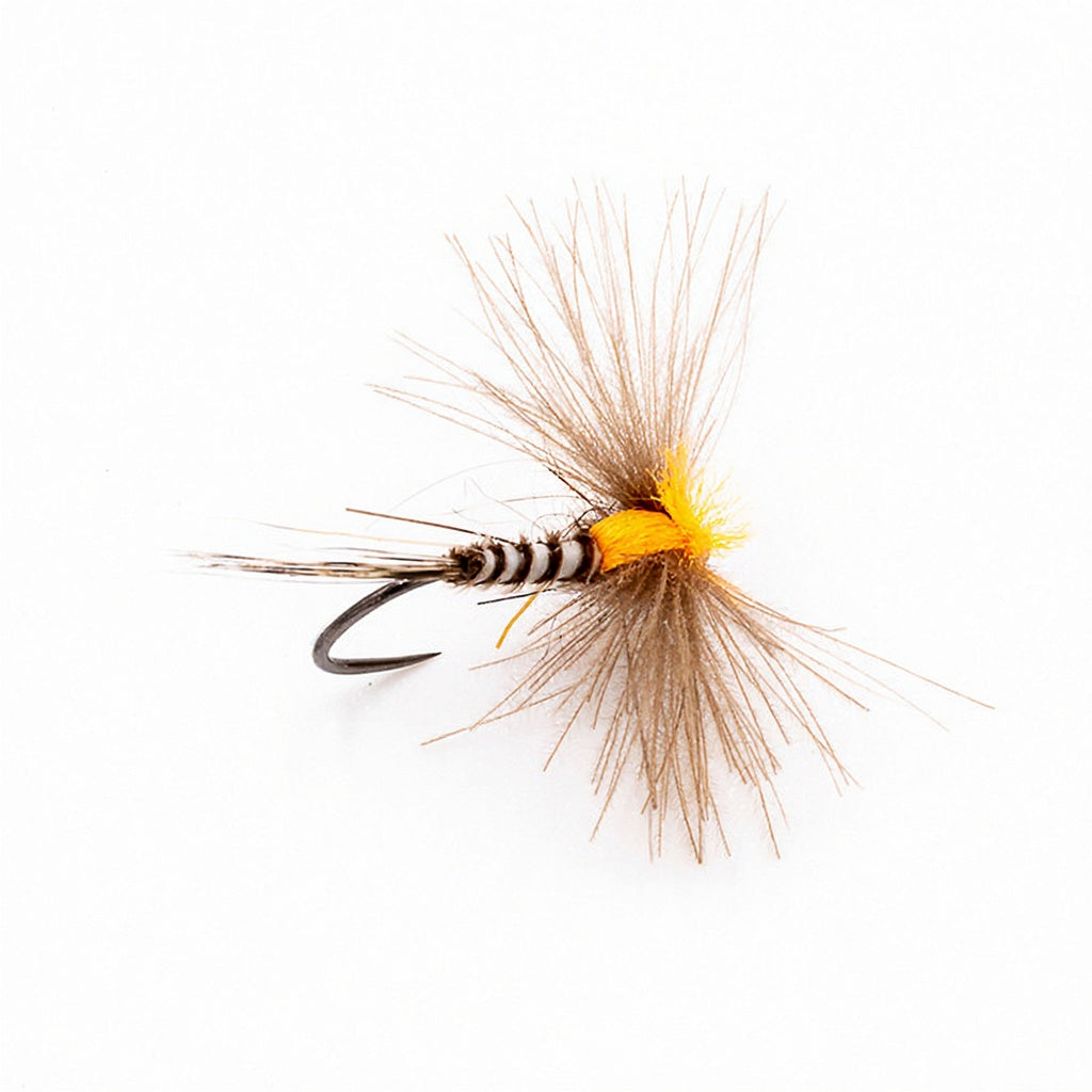 DEVAUX Fly Emerging JBE 08
