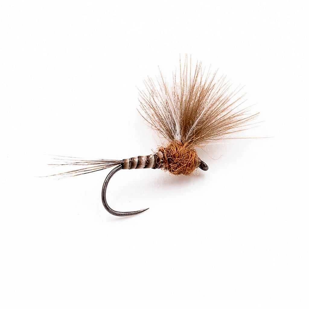 DEVAUX Fly Emerging JBE 09
