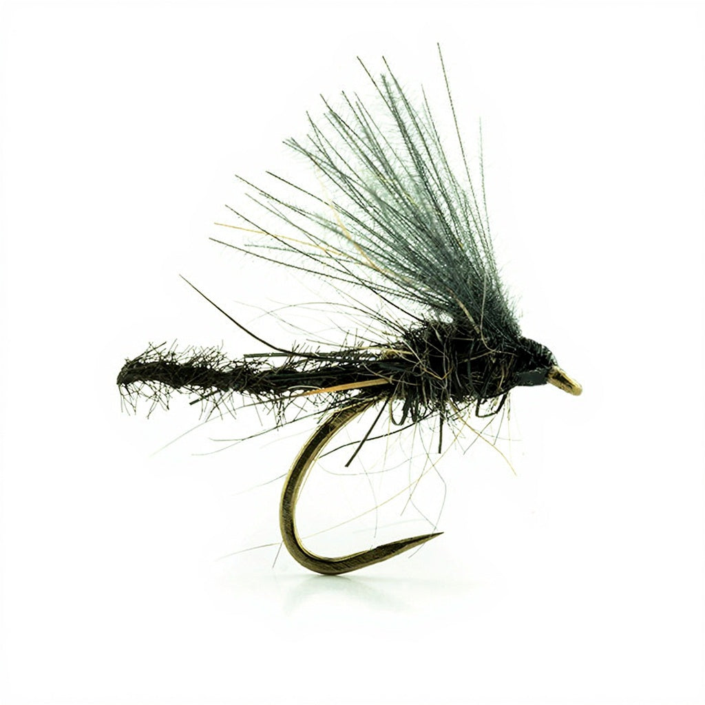 DEVAUX Fly Emerging JBE 13