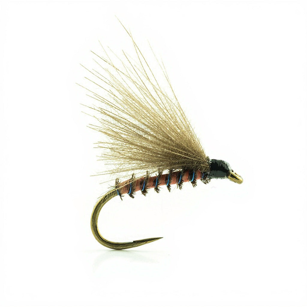 DEVAUX Fly Emerging JBE 21