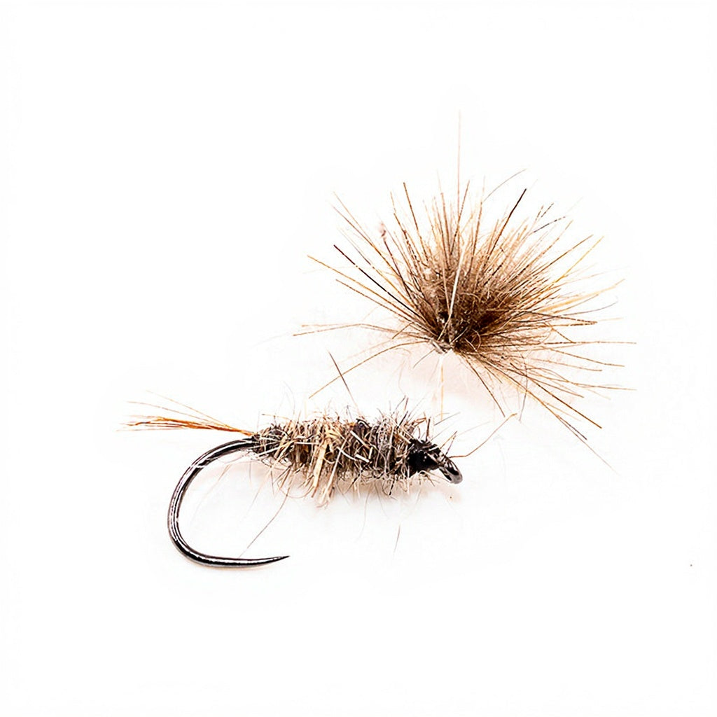 DEVAUX Emerging Fly JBE 60