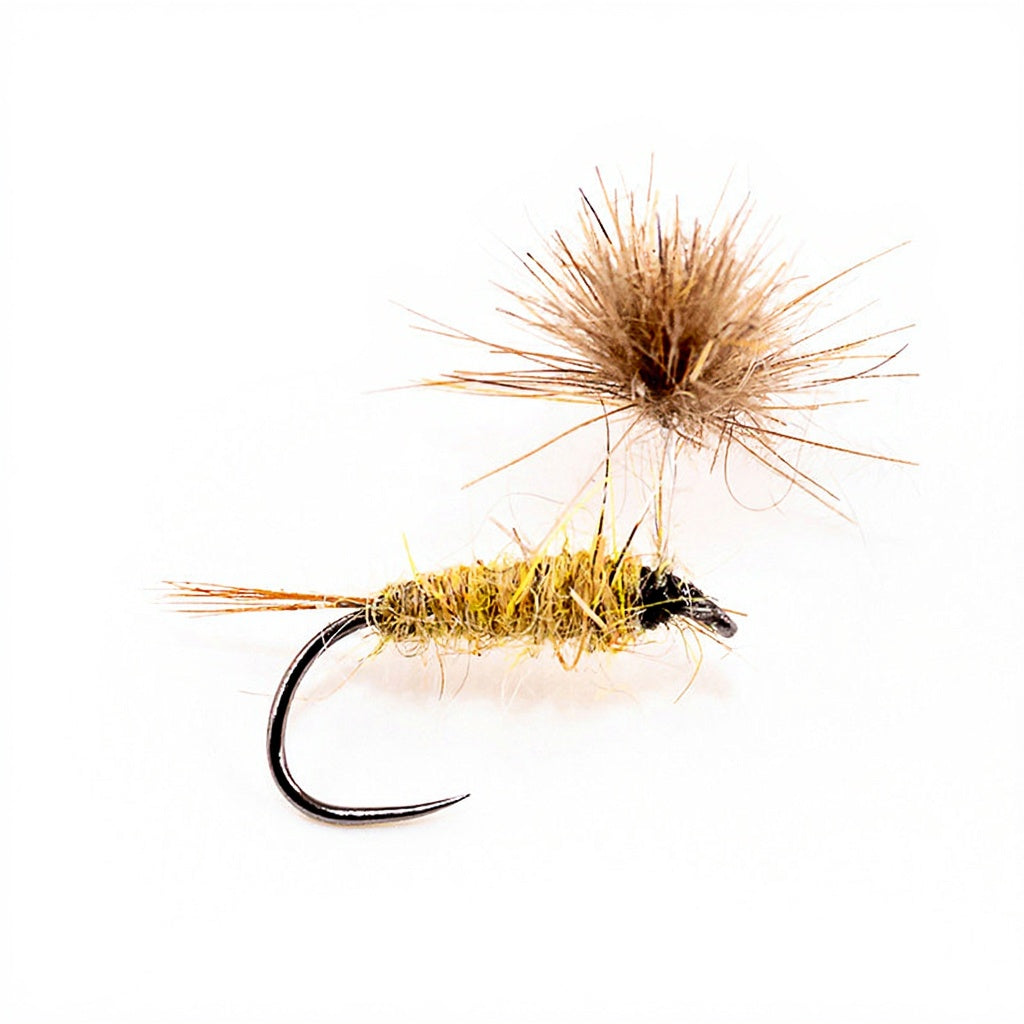 DEVAUX Fly Emerging JBE 62