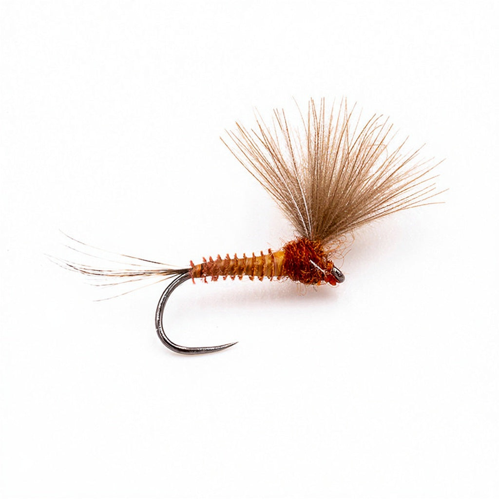 DEVAUX Emerging Fly JBE10