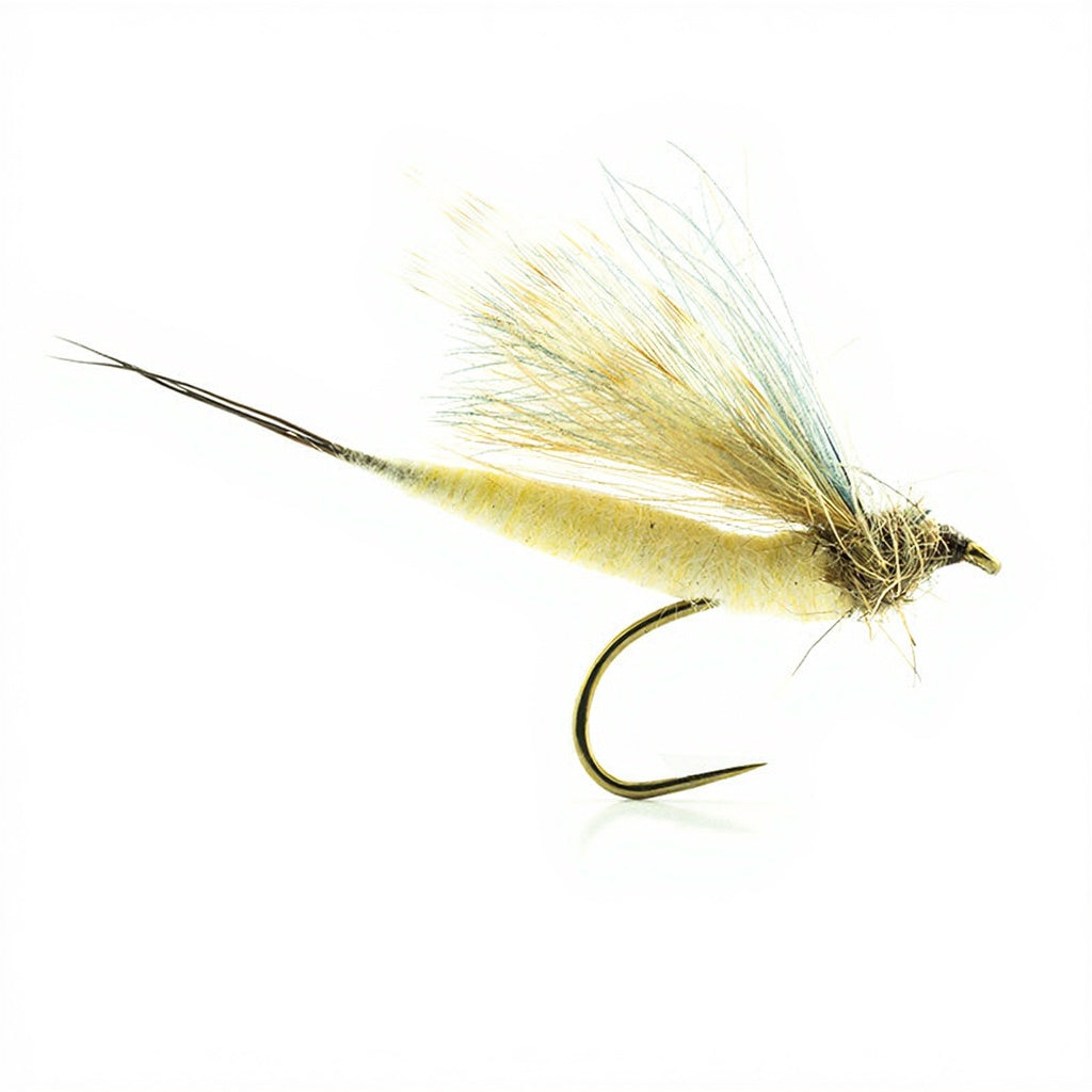 DEVAUX Fly Emerging May JBMAI 03