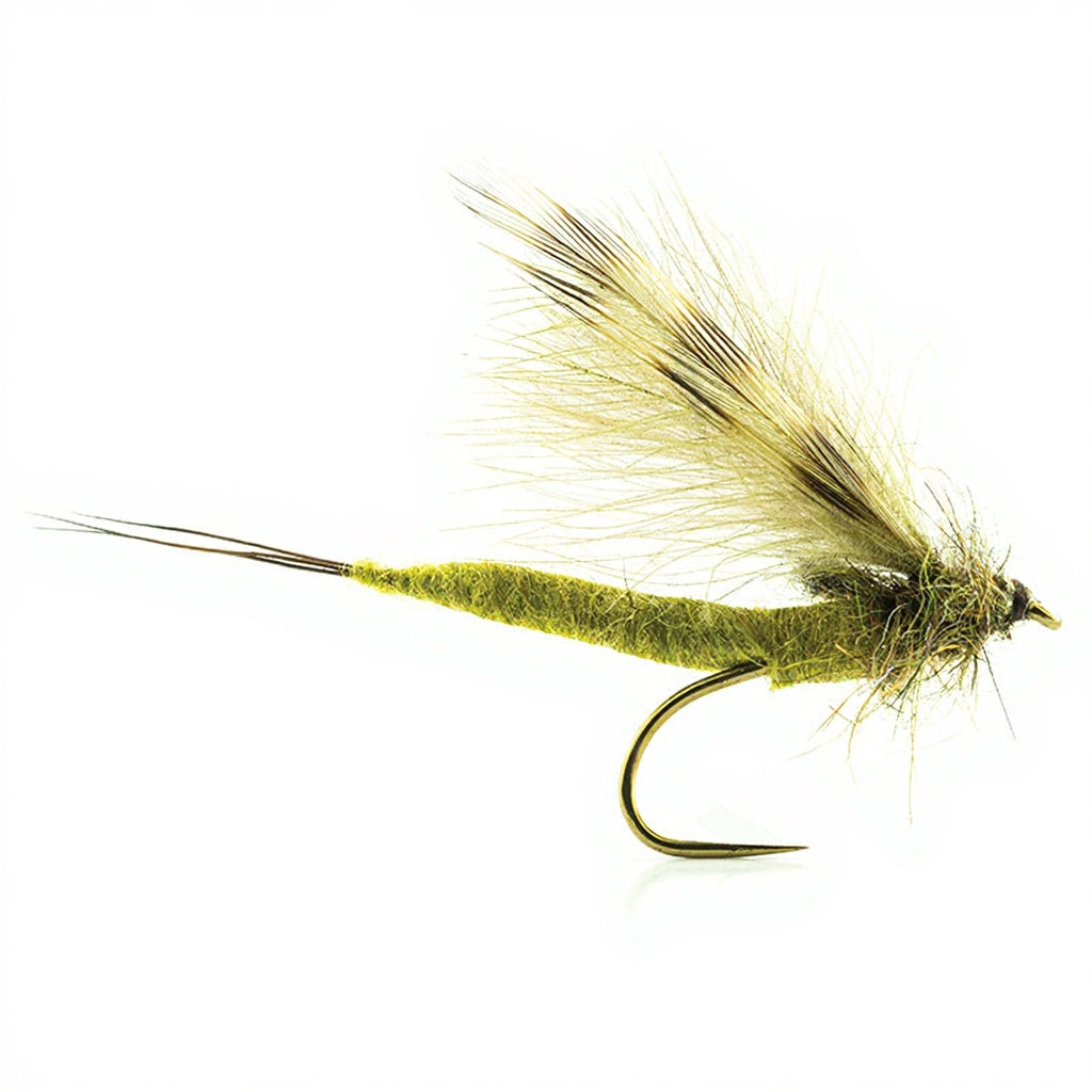 DEVAUX Fly Emerging May JBMAI 04