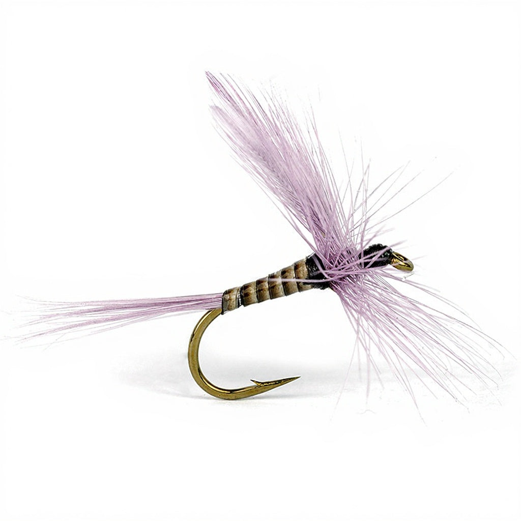 Mouche DEVAUX Séche 918