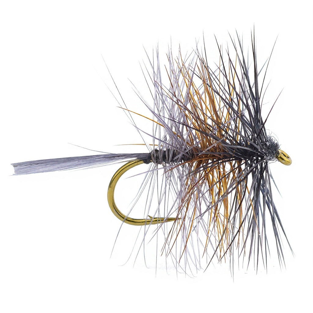 DEVAUX Palmer TT 04 Fly