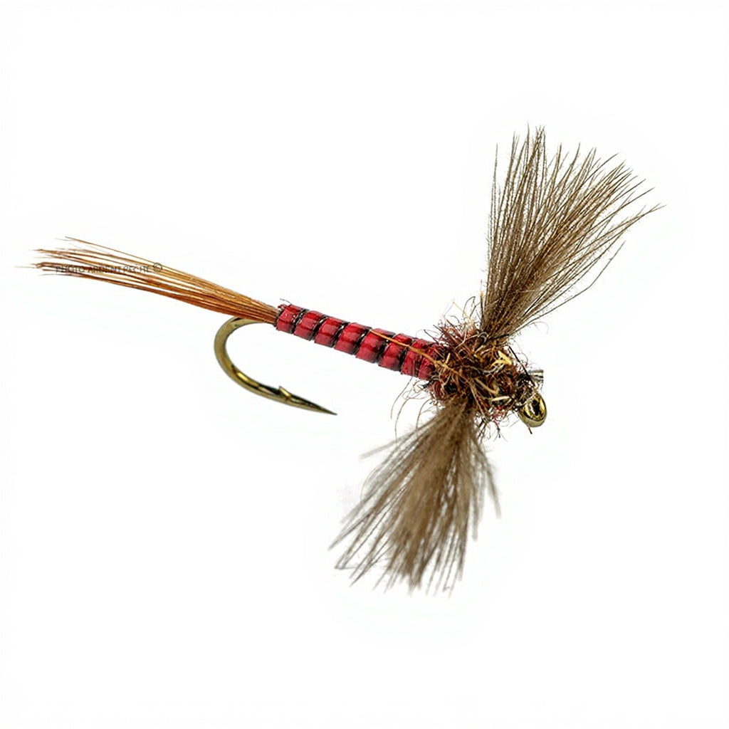 DEVAUX Spent JBS 01 Fly