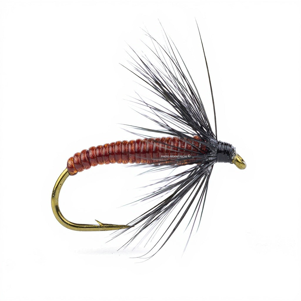 Drowned DEVAUX Fly JBNO 03