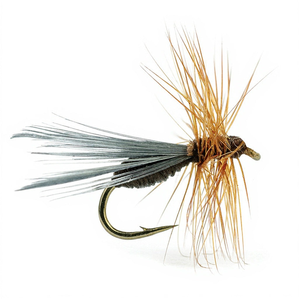 Mouche DEVAUX Terrestre fourmi B513