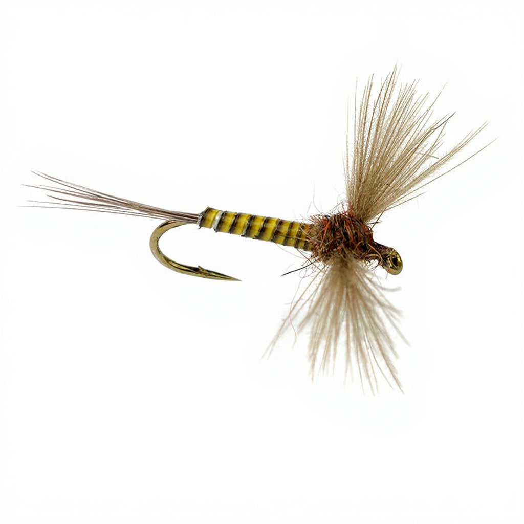 DEVAUX Spent JBS 02 Fly