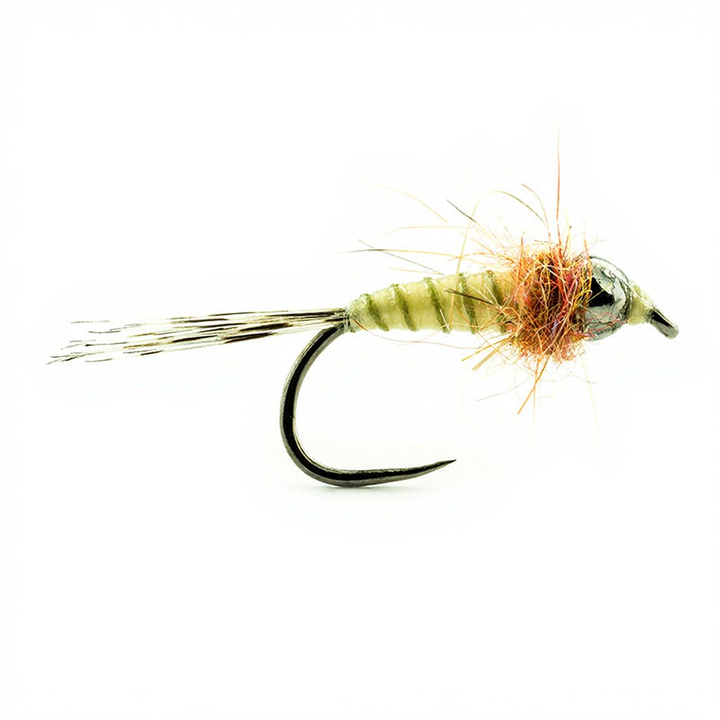 Mouche DEVAUX Nymphe bille tungsténe JBNT 25