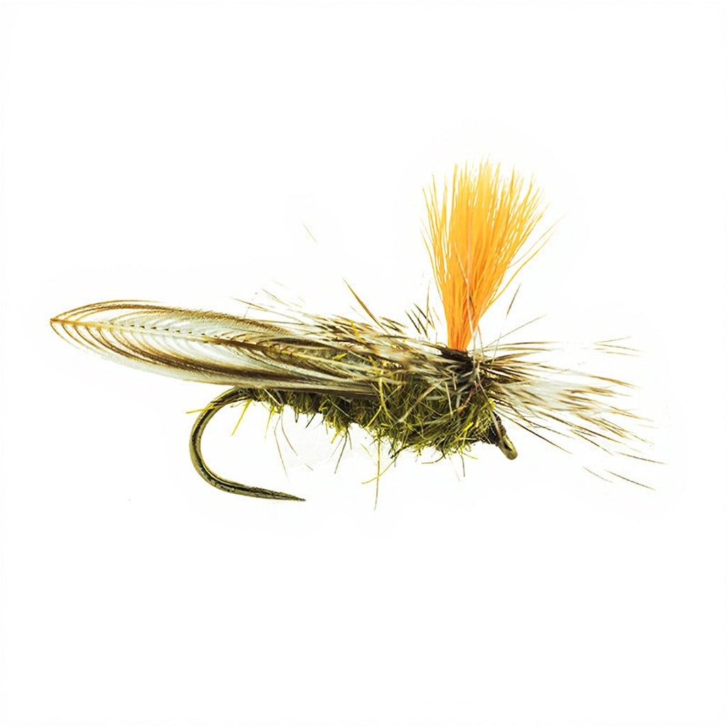 DEVAUX Fly Parachute GDC 07