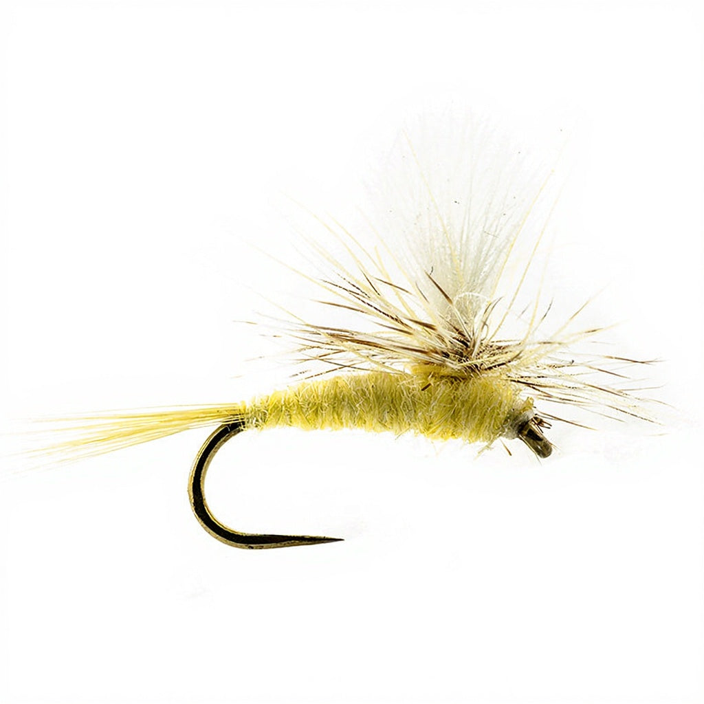 DEVAUX Parachute P 01C Fly