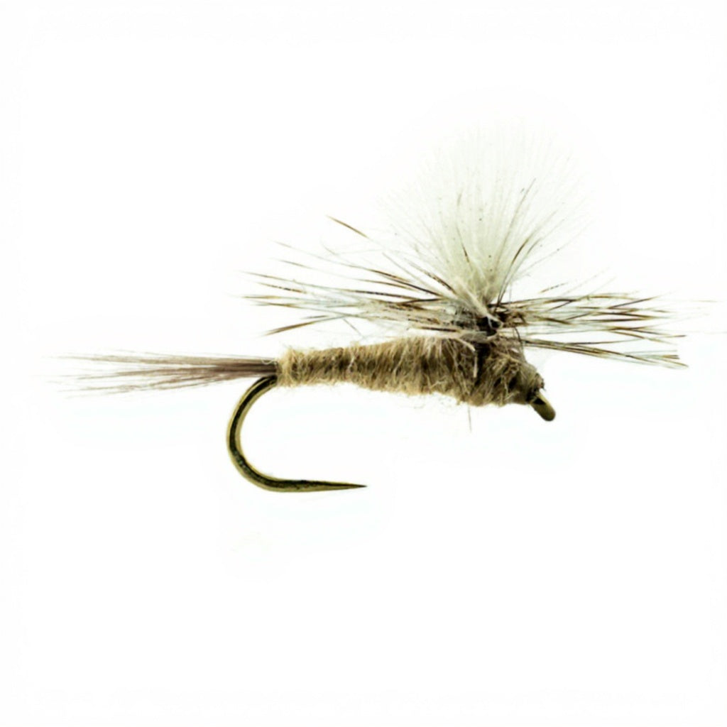 DEVAUX Parachute P 03C Fly