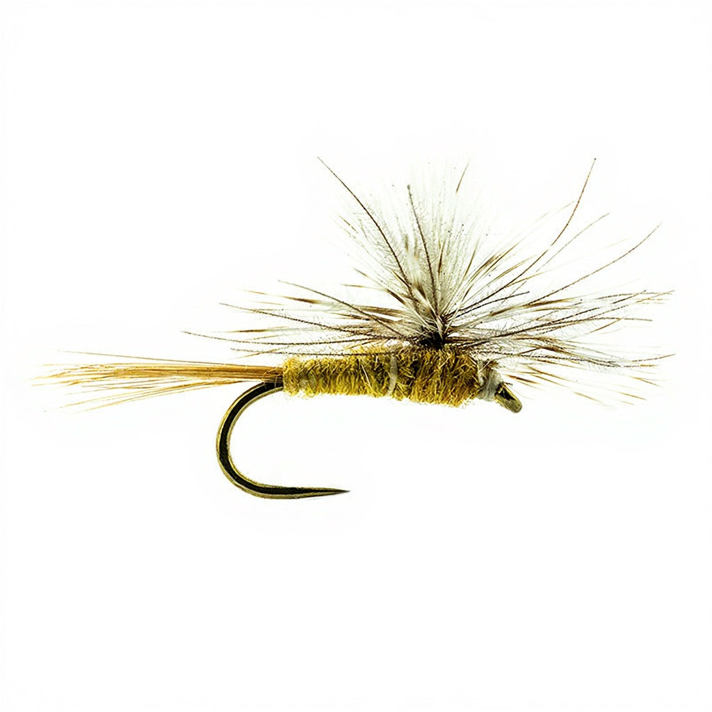 DEVAUX Parachute P 04C Fly
