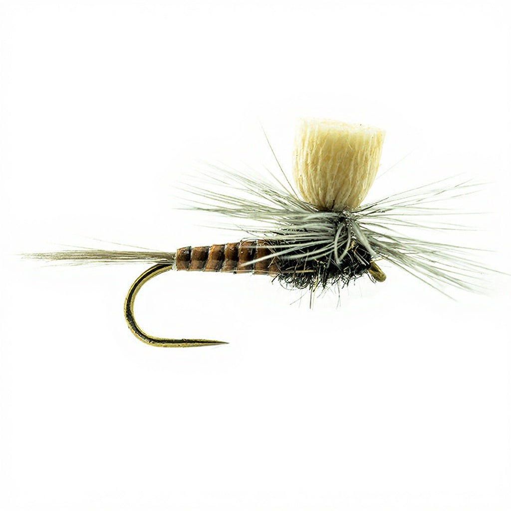 DEVAUX Fly Parachute P 08