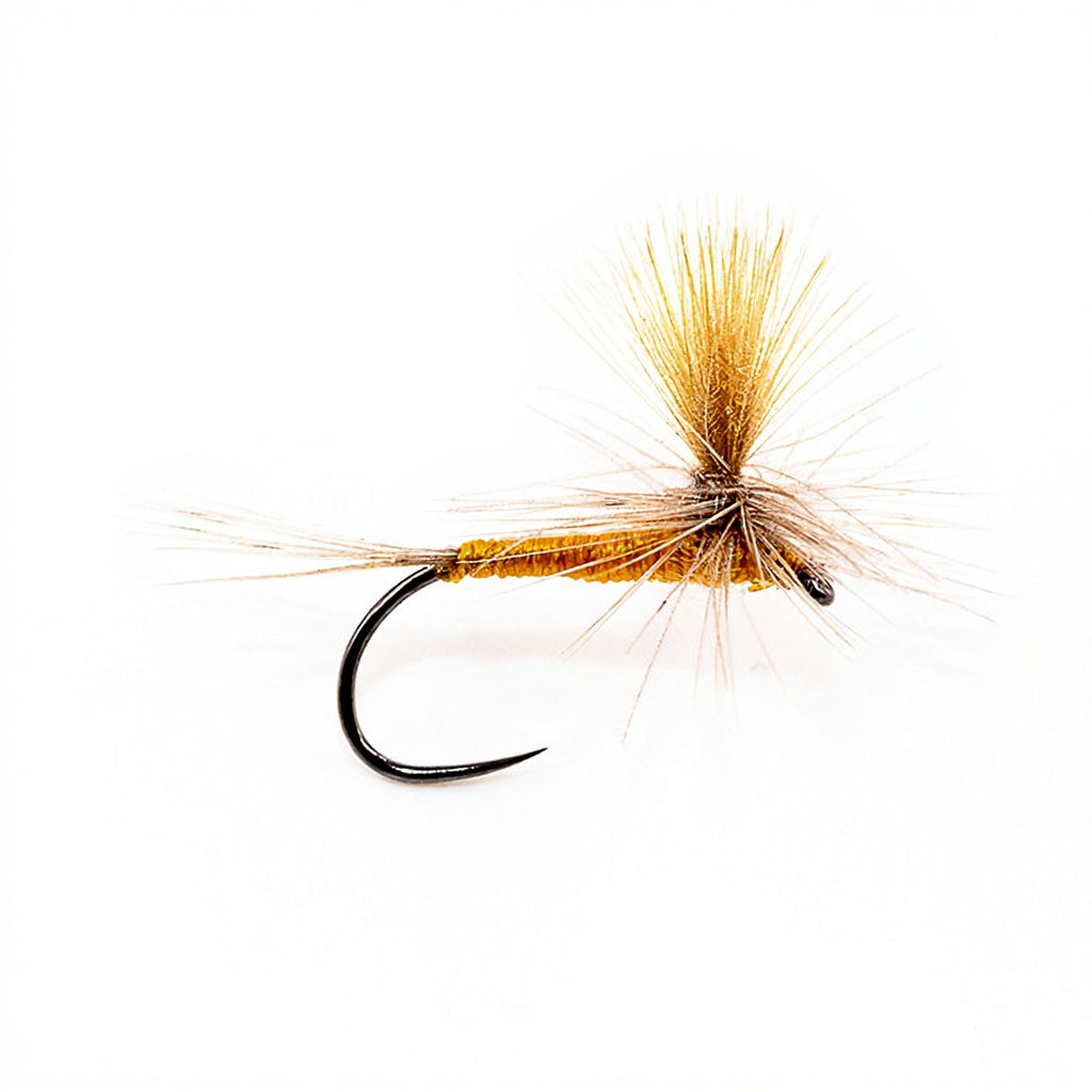 DEVAUX Fly Parachute P 17