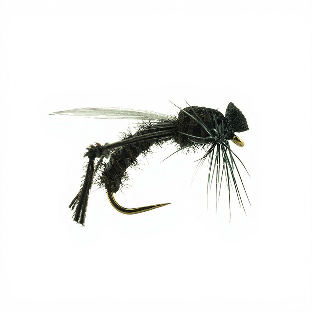 Mouche DEVAUX Terrestre Bibio JBBM 01