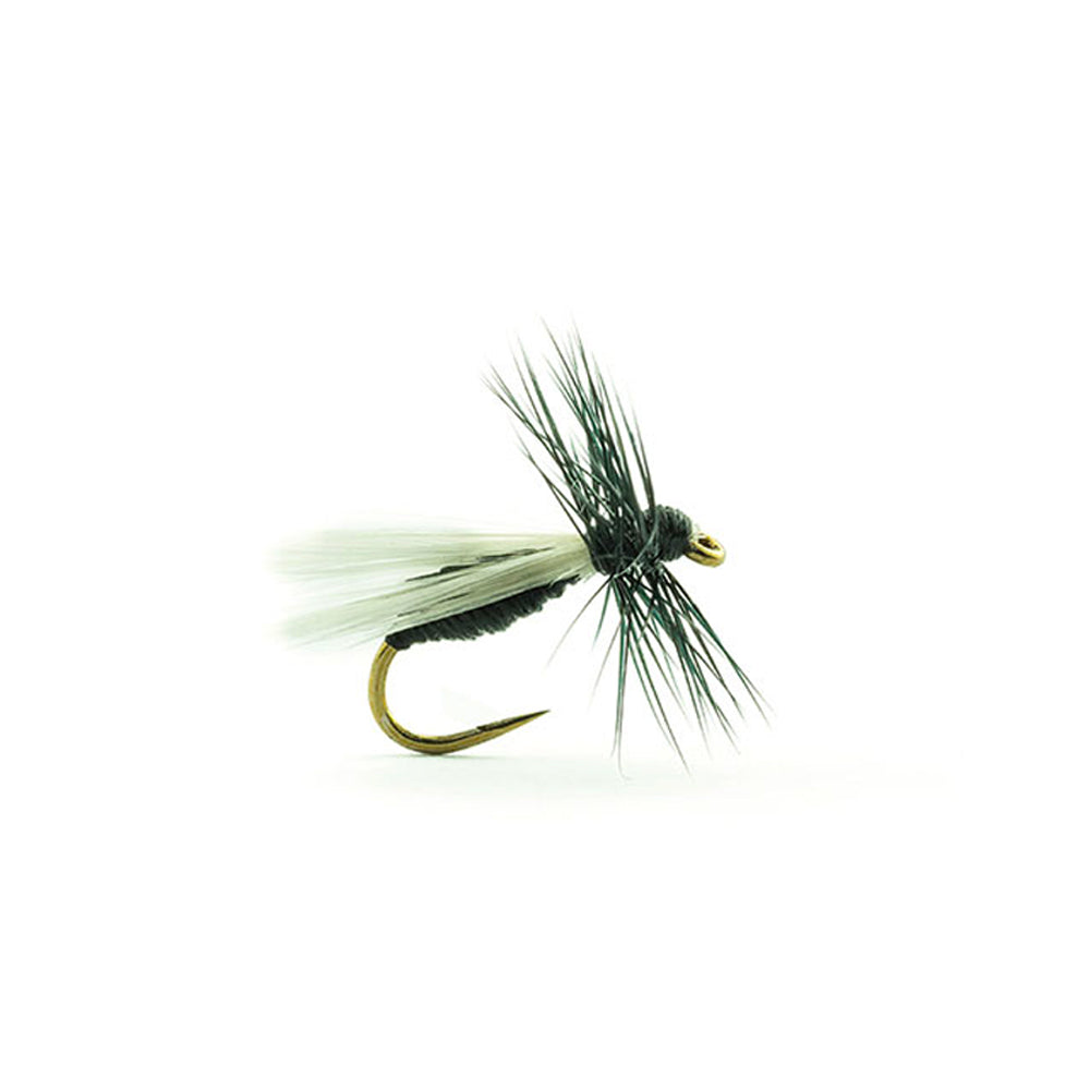 DEVAUX-Fliege, Landameise A510