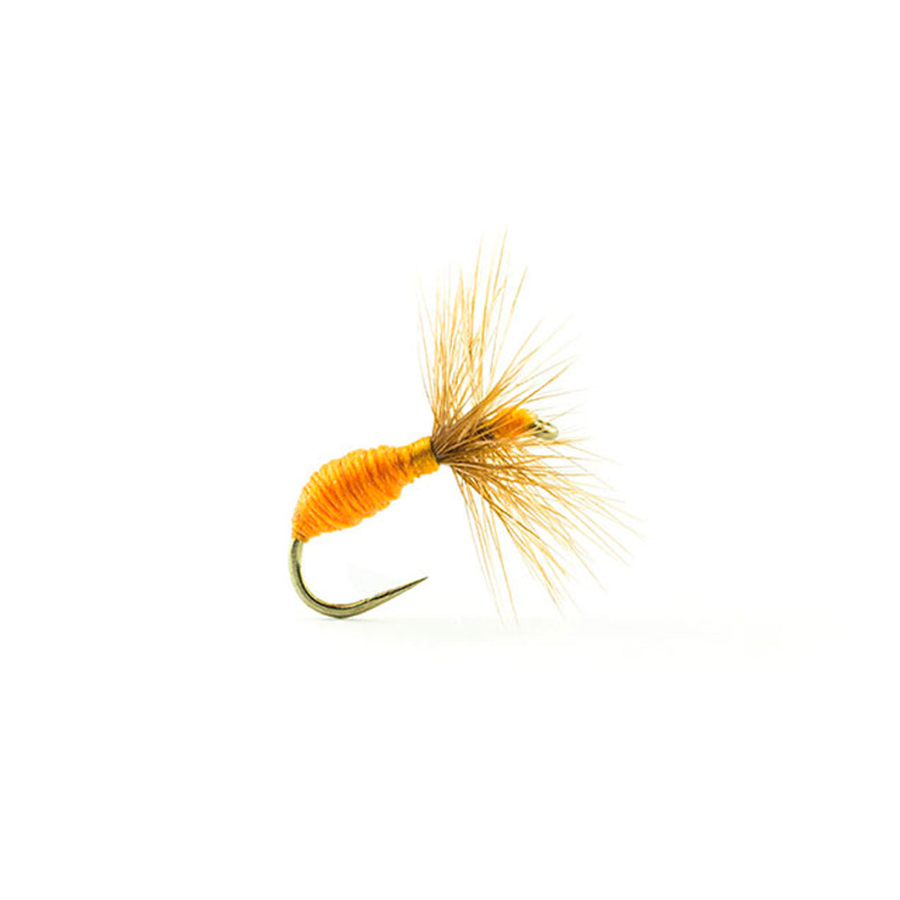 DEVAUX Fliege, Landameise 517
