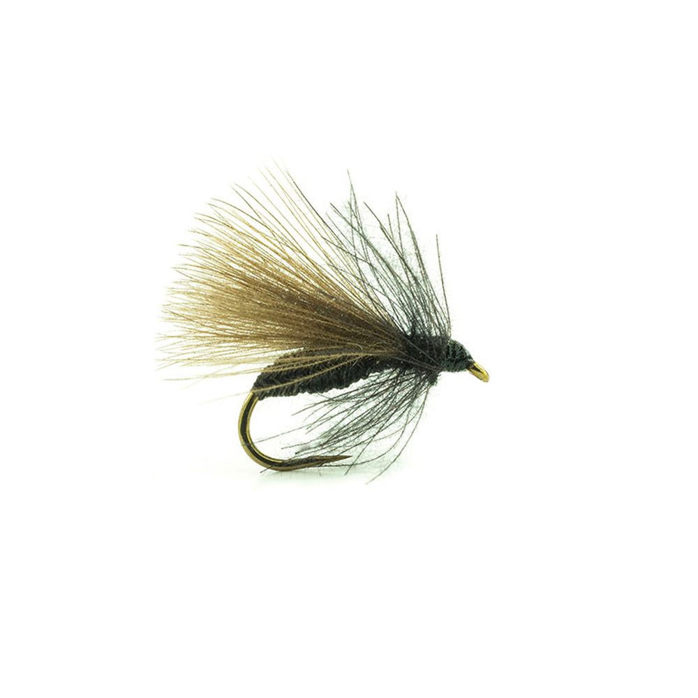 DEVAUX Fliege, Bodenameise, B528C