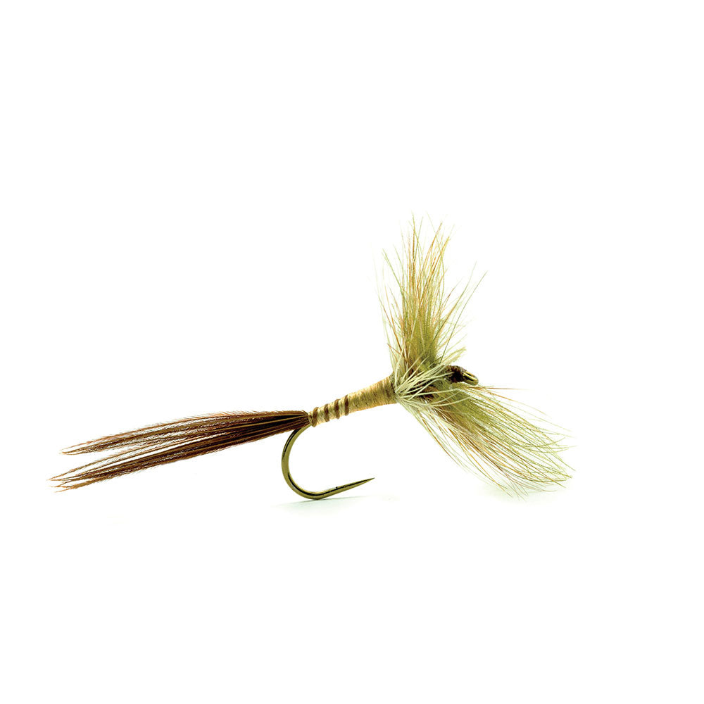Mouche DEVAUX Séche 606C