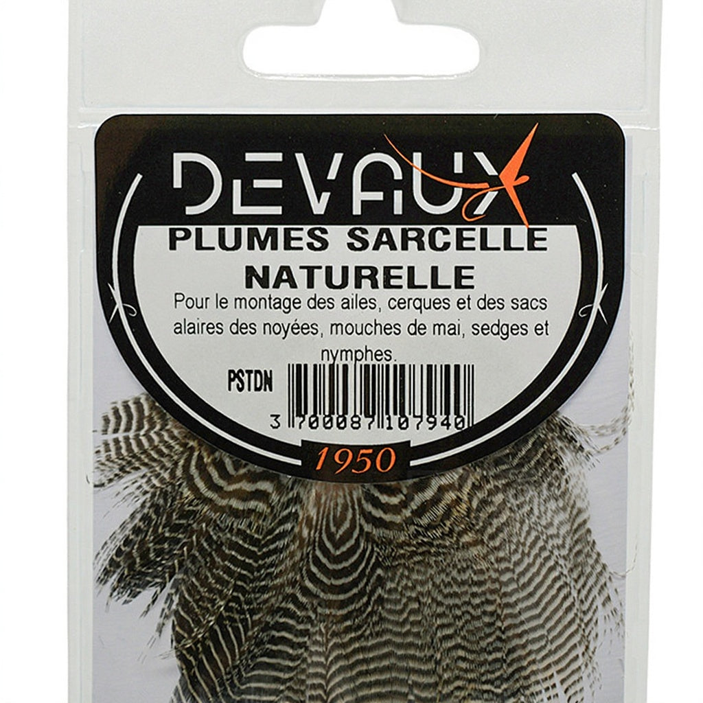 Sarcelle DEVAUX