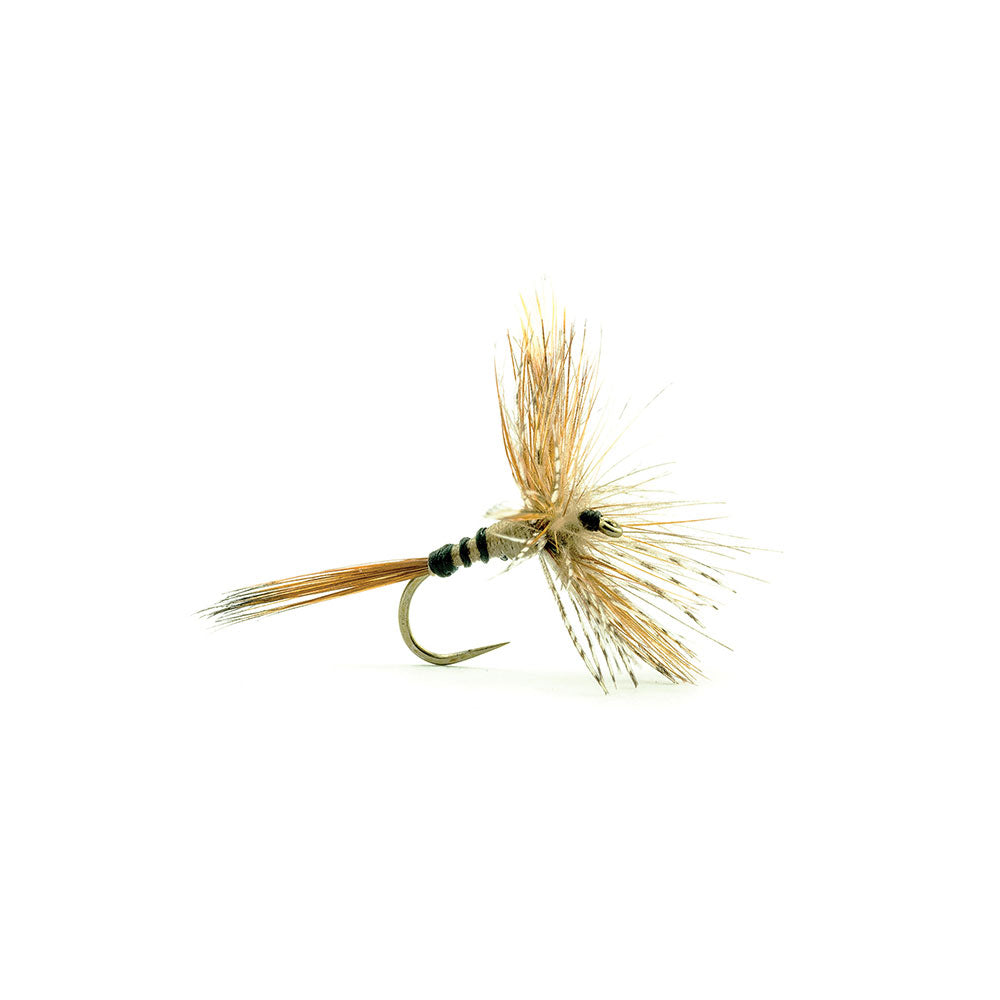 DEVAUX Dry Fly 700C