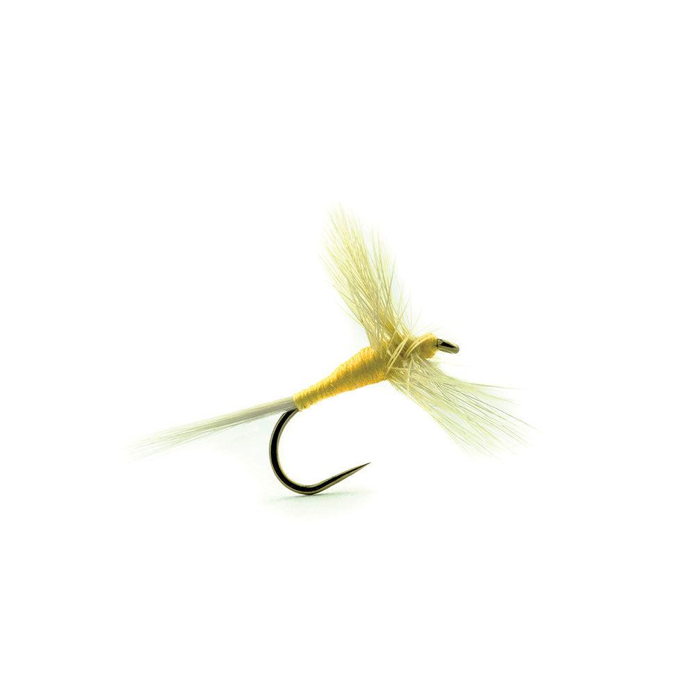 Mouche DEVAUX Séche 814