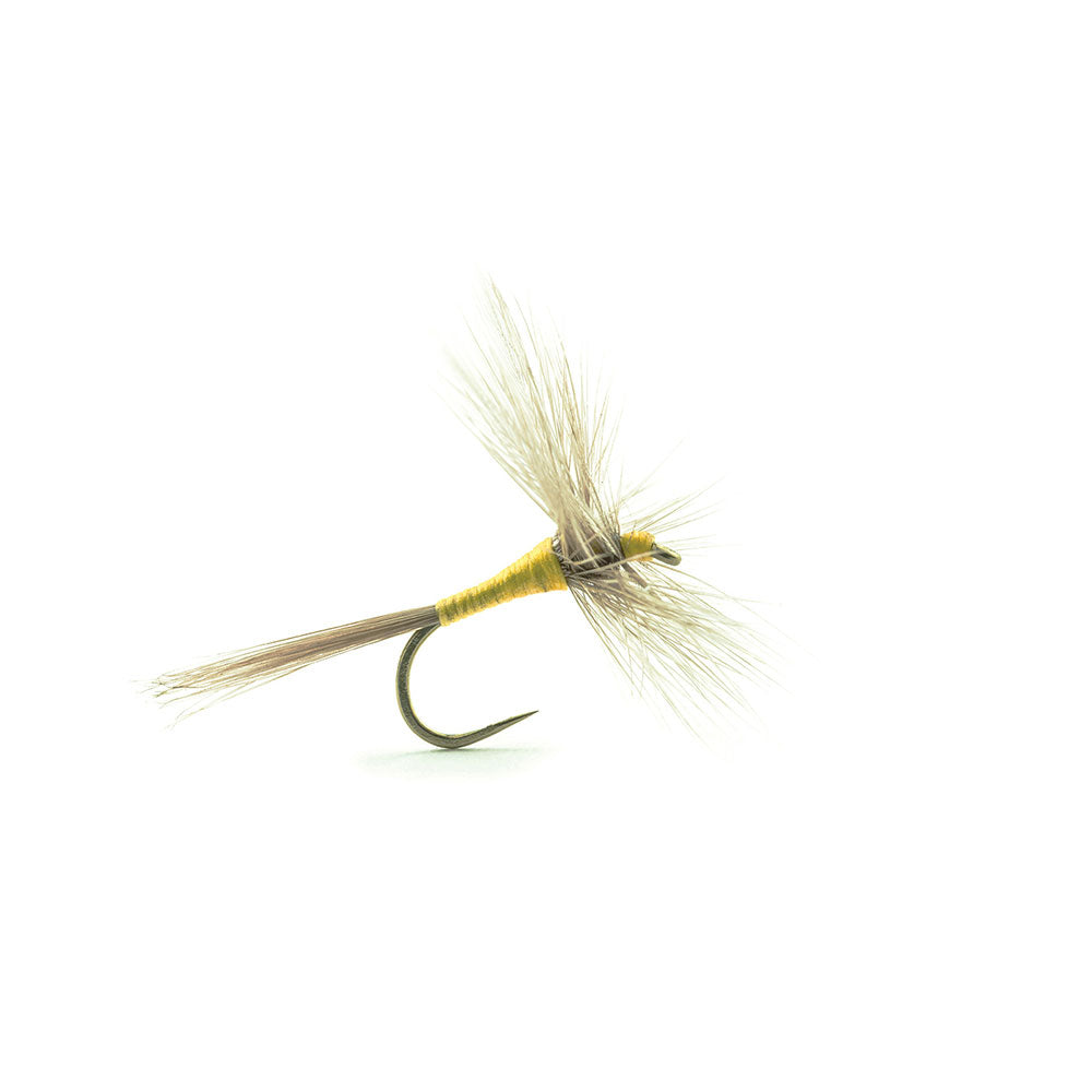 Mouche DEVAUX Séche 815