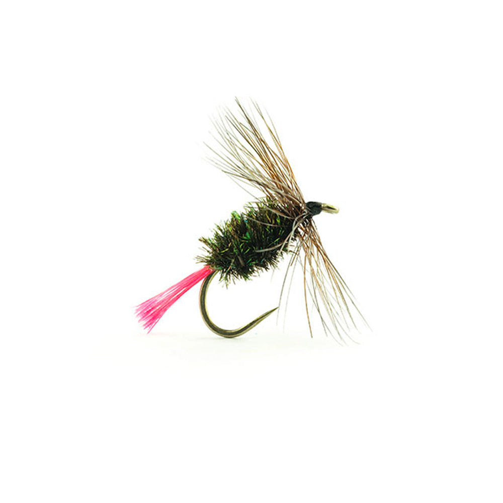 DEVAUX Fly Terrestrial 880