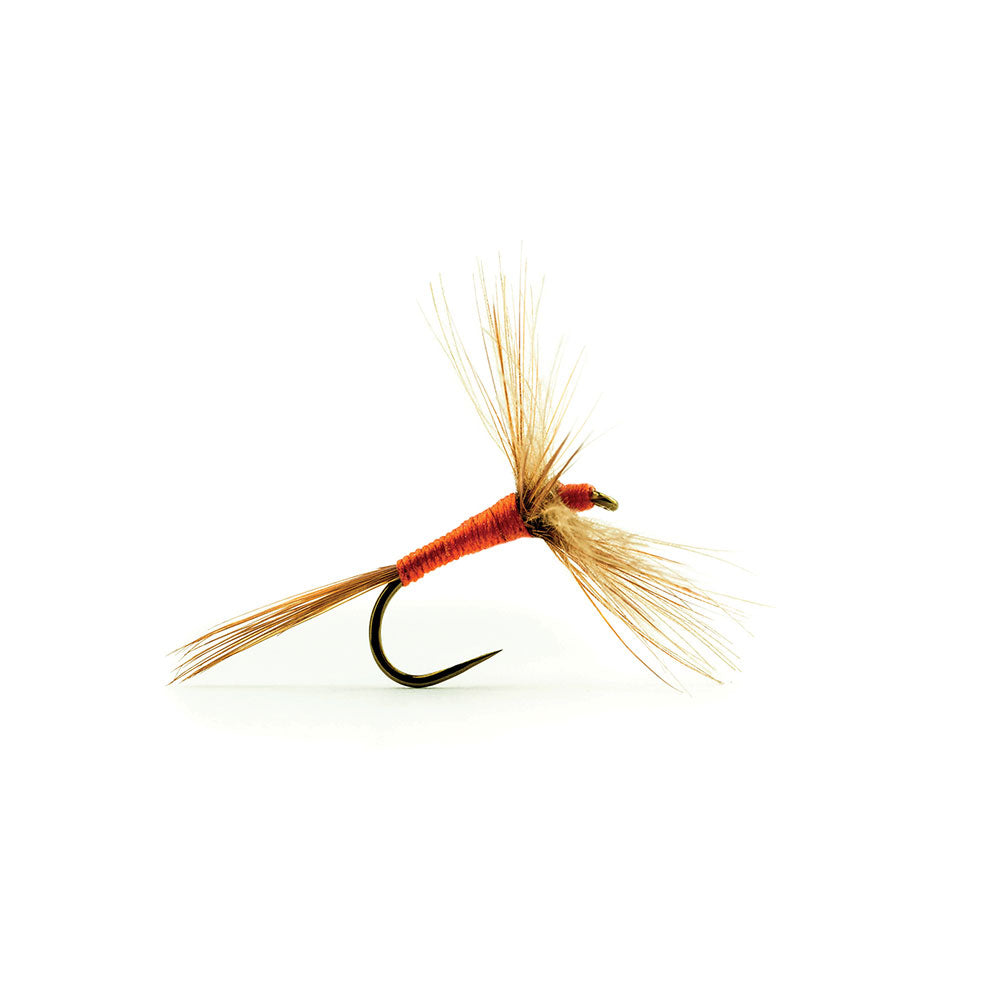 Mouche DEVAUX Séche 967C